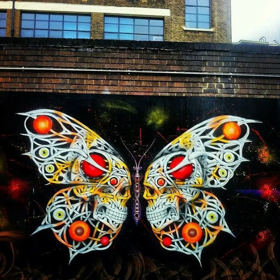 butterfly17